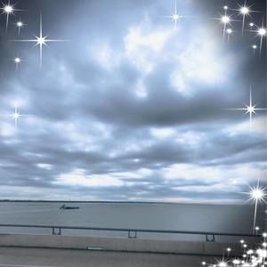 Meet your Posher, Priscilla